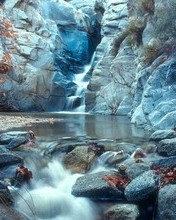 176x220风景壁纸 12639)
