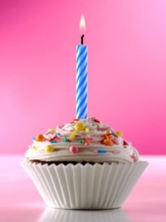 生日快乐-送上各式各样漂亮生日蛋糕 12828)