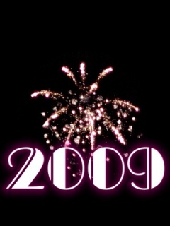 迎来新的一年2009年! 12859)