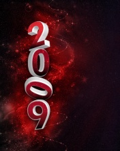 迎来新的一年2009年! 12861)