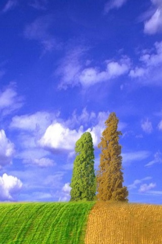 iphone完美风景壁纸 12909)