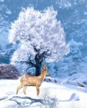 雪花飘飘 12938)