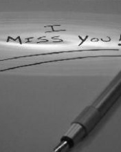 送给心爱的人I miss you! 13037)