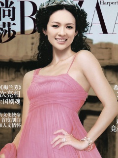 西方人眼里的东方大美女章子怡 13141)