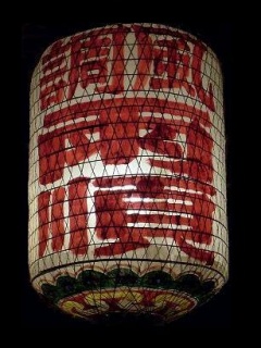 过年过节大红灯笼高高挂 13653)