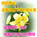 情人节美图加好文字送给心爱的人！ 13812)