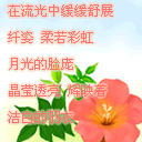 情人节美图加好文字送给心爱的人！ 13805)
