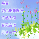 情人节美图加好文字送给心爱的人！ 13808)