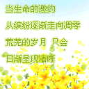 情人节美图加好文字送给心爱的人！ 13807)