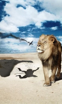 狮子王Lion King 14250)