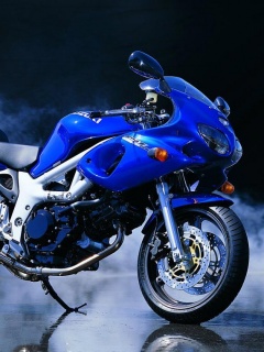 Suzuki GSX系列摩托车美图 14341)