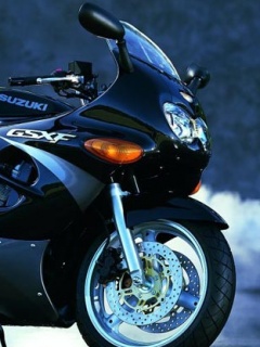 Suzuki GSX系列摩托车美图 14340)