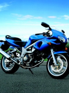 Suzuki GSX系列摩托车美图 14339)