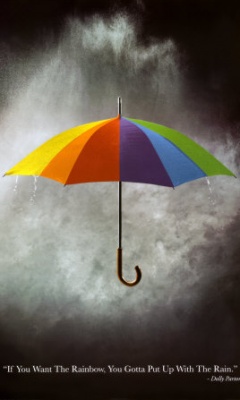 雨伞图片 14450)