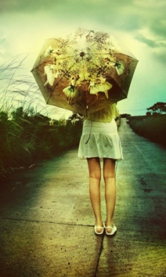 雨伞图片 14448)
