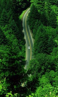 世界风景-美丽的路 14503)