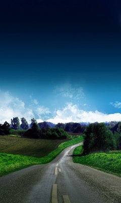 世界风景-美丽的路 14501)