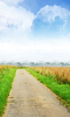 世界风景-美丽的路 14514)
