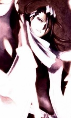 死神Bleach手机壁纸集 15681)
