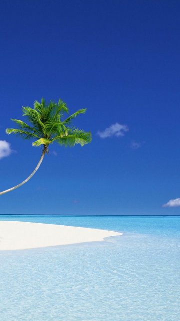 海洋海滩风光 16651)