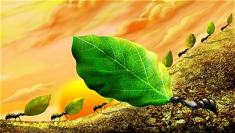 电脑绘制梦幻风景图 17376)