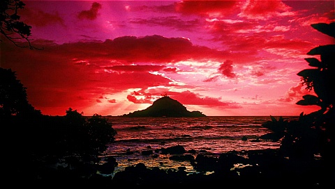 夕阳西下 17547)