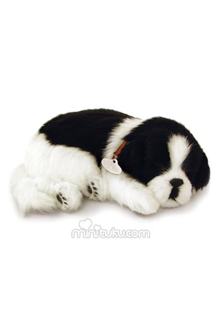 超可爱的边境牧羊犬幼犬 17666)