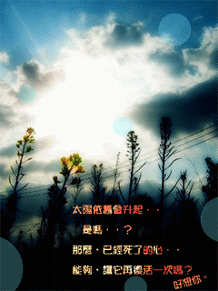 非主流闪图 18142)