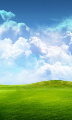 蓝天白云绿草地240x400手机图片 18471)