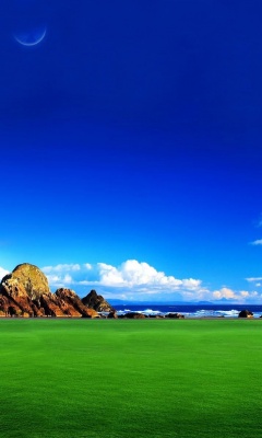 蓝天白云绿草地240x400手机图片 18469)