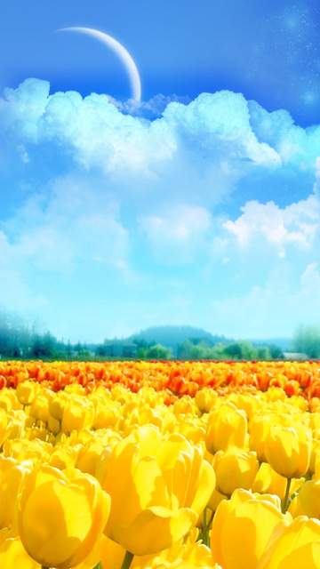 360x640梦幻风景图集三 18683)