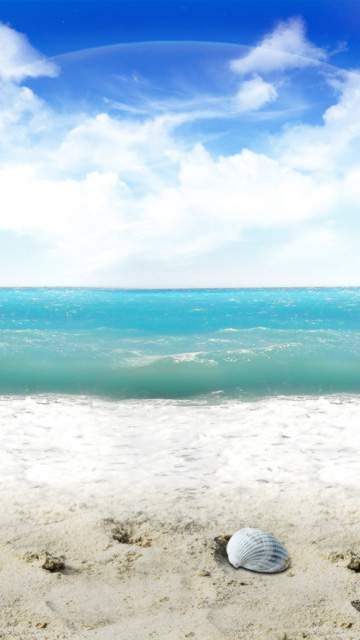 美丽的沙滩海面风光 18691)