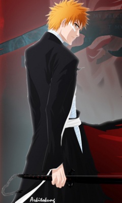 死神Ichigo壁纸2 19497)