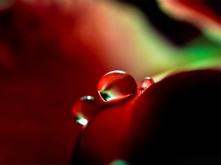 晶莹剔透的水珠 20102)