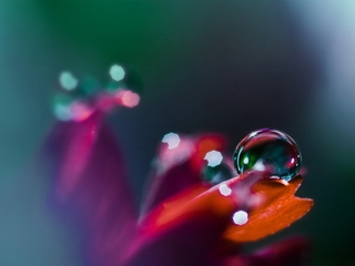 晶莹剔透的水珠 20105)