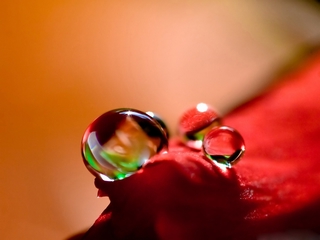 晶莹剔透的水珠 20107)
