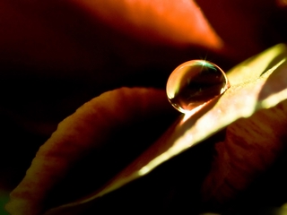 晶莹剔透的水珠 20106)