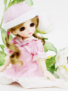 可爱的BJD娃娃latidoll 20240)