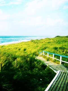 夏天才能见到的绿色美景 20914)