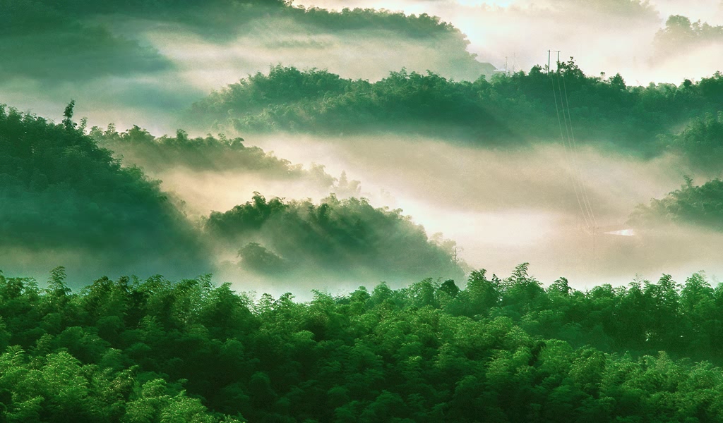 层山叠峦凌晨雾景 21740)