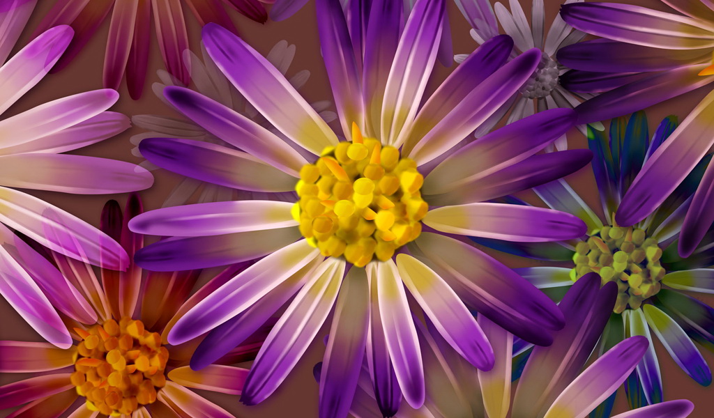 花草类植物插画壁纸 21859)