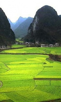 独特的中国农田风光 22345)