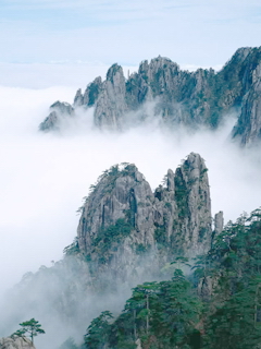 什么时候去黄山旅游？ 22355)