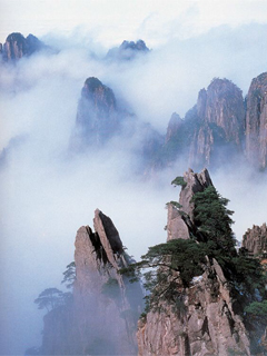 什么时候去黄山旅游？ 22352)