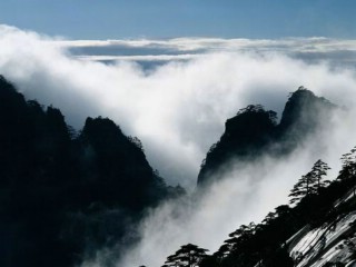 黄山山峰雾景与不老松 22357)