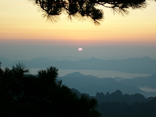 黄山山峰雾景与不老松 22361)