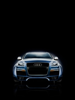 Audi第一辆SUV奥迪Q7 23816)