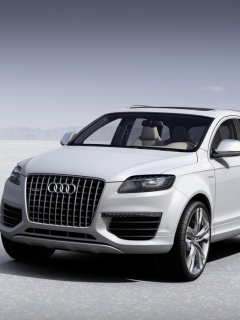 Audi第一辆SUV奥迪Q7 23831)