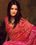 现今印度头号女星Katrina Kaif 24043)