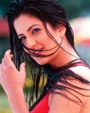 现今印度头号女星Katrina Kaif 24078)